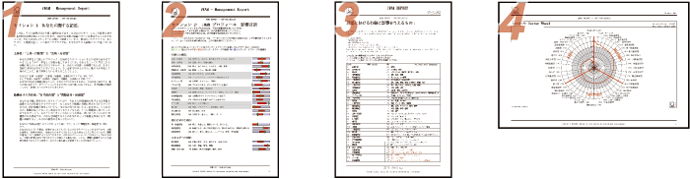 iWAM™レポート